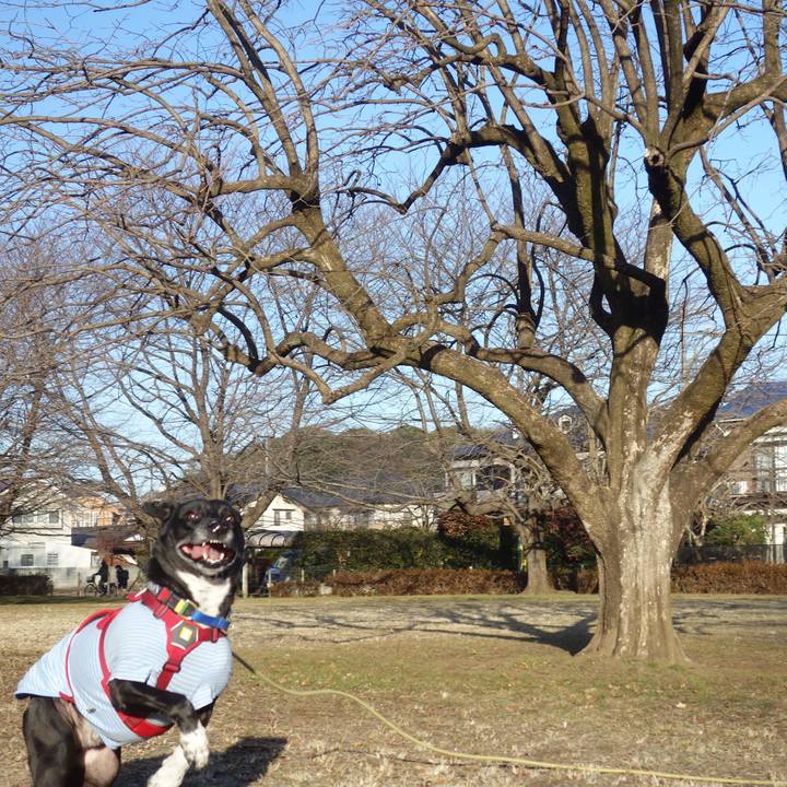 Ea8db59e 10c4 4ce6 af12 a5cfb71dbba7 1673398147562