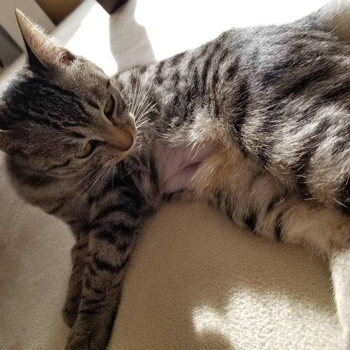 Ea8dca3d 10a2 45ba b079 ca7e2e36759f 1675213783088