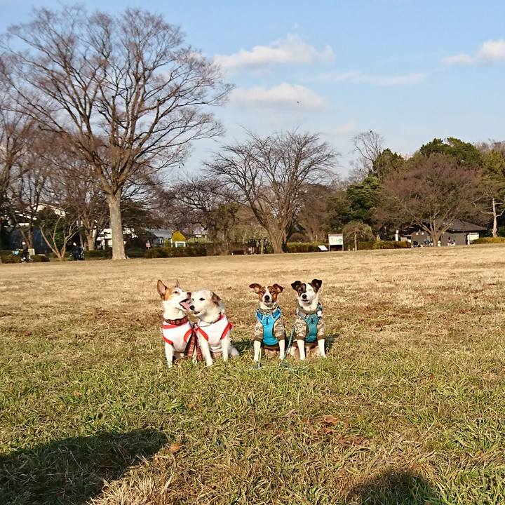 Ea8de0a1 6363 444d 8f43 d351dde2269d 1609050648110