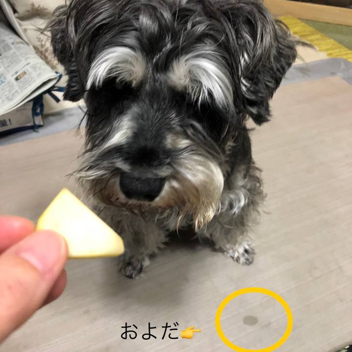 Ea8e1286 42fd 4ef0 9ccd 50f5e9e10b40 1640085275455