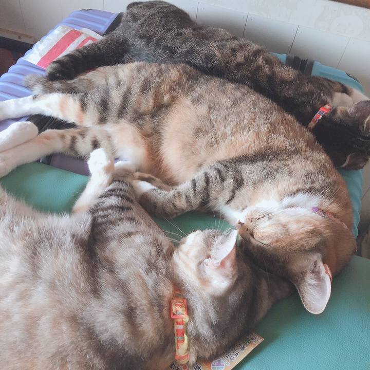 Ea8e2eeb bcec 4982 bdf5 4cae64cd9224 1568464929121