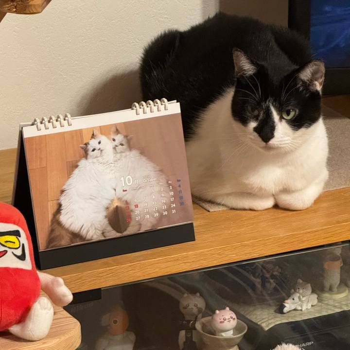 Ea8e4a29 9bea 4990 98a3 6220bc234dea 1761741027914