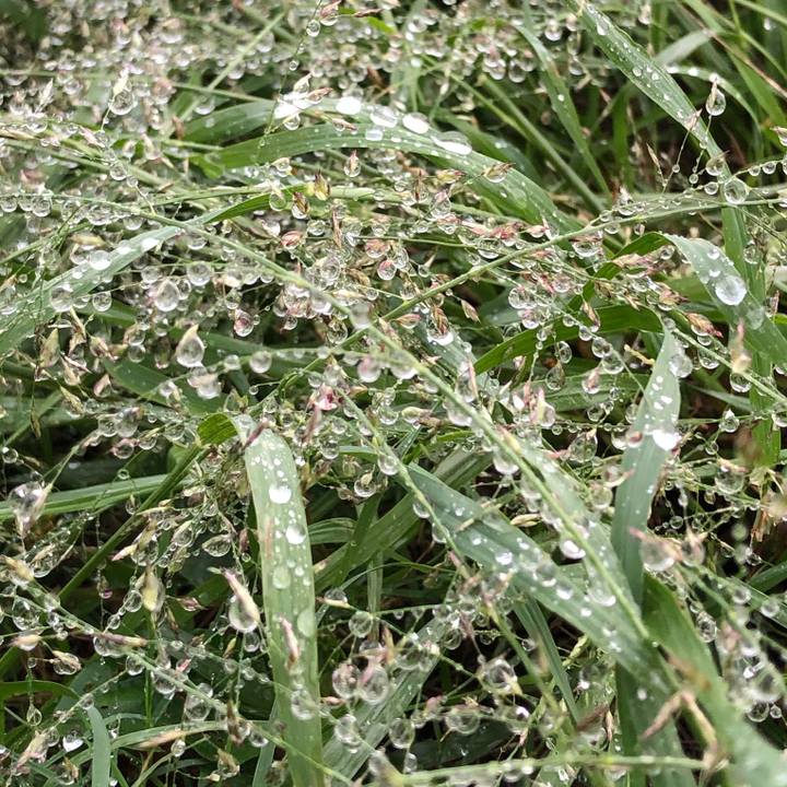 Ea8e4f40 86f5 48d5 b82e d9f4b353ab70 1601033467843