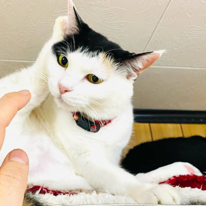 Ea8e5af6 ac8a 4158 af34 951cb54cd5cd 1700401425980