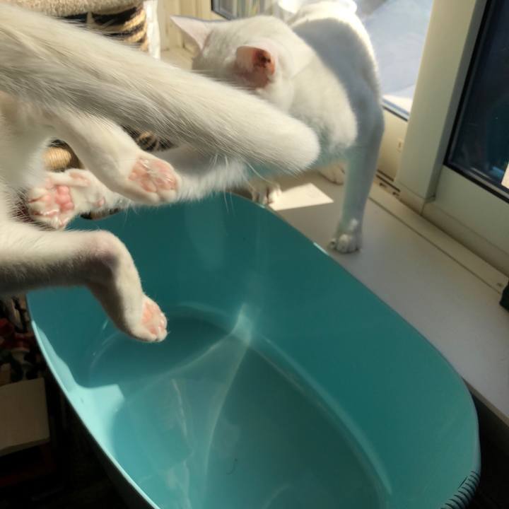 Ea8eca87 3a7a 47e6 ad75 44086296142f 1517466566635