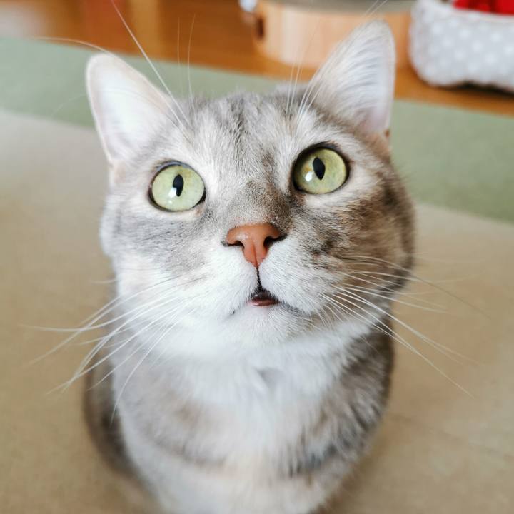 Ea8ee7da b59c 48e8 b623 0bcba32e3d24 1684726856280