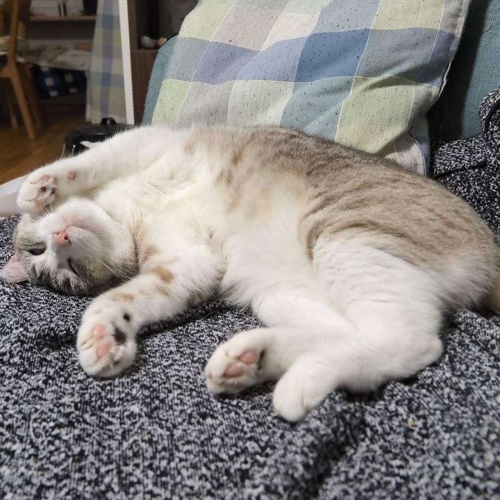 Ea8f070e b558 4c53 80ac 704456211c81 1599313948104