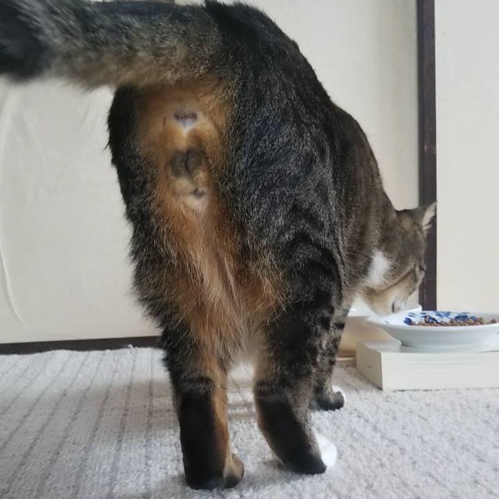 Ea8f26fd b5b5 4ef0 9636 e081c55b1fcb 1613293685764