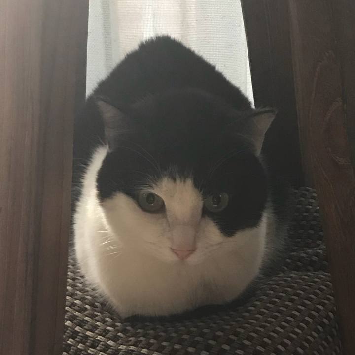 Ea8f3adc d009 40e4 9a29 238bdd1227d9 1518401855764