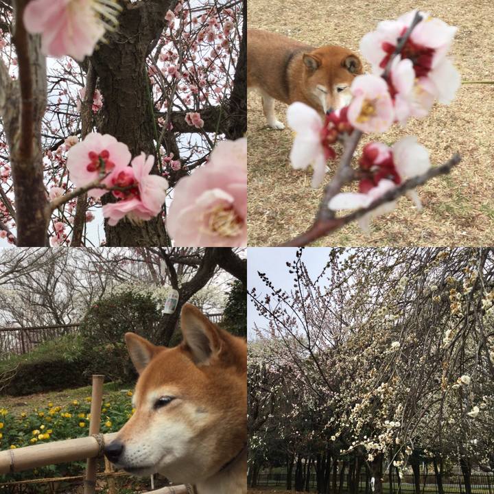 Ea8f7460 60fe 4e5b a1ca 211adb54c824 1614323085808