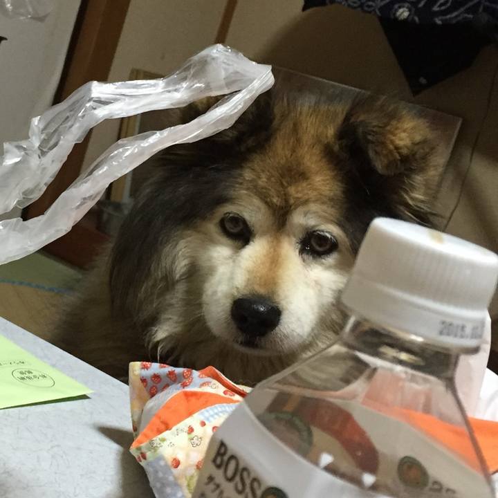 Ea8f84f0 2d96 48e1 bab9 d21cb52c4b66 1616272454069