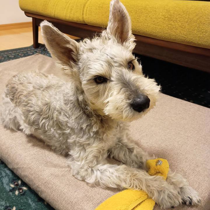 Ea8f96c3 51e9 4fe8 b90c ed2d2c63519d 1773836637202