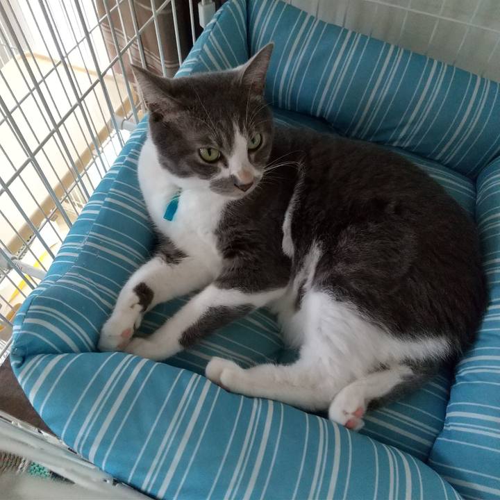 Ea8fb8b5 738f 4f22 a761 194da4612104 1632790317714