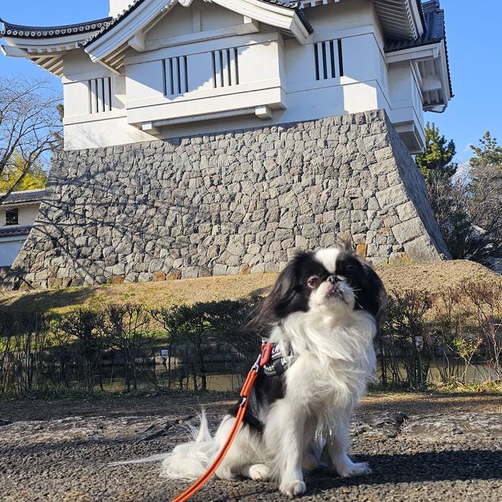 Ea8fbe9b cf6a 443e bc86 0f02ff7e7a45 1738990520226