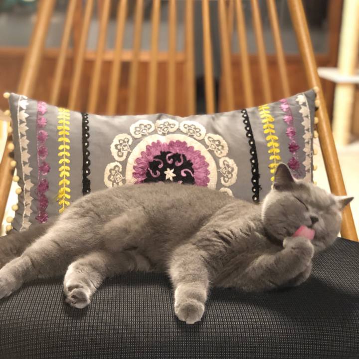 Ea8fca37 b6c1 4071 a320 68bd9ea4e30a 1553690130502