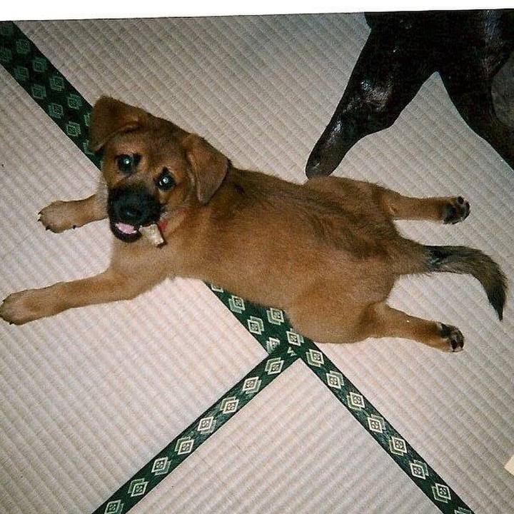 Ea8ff667 3d09 424f 9ff4 8218db1e5d3e 1522297088389