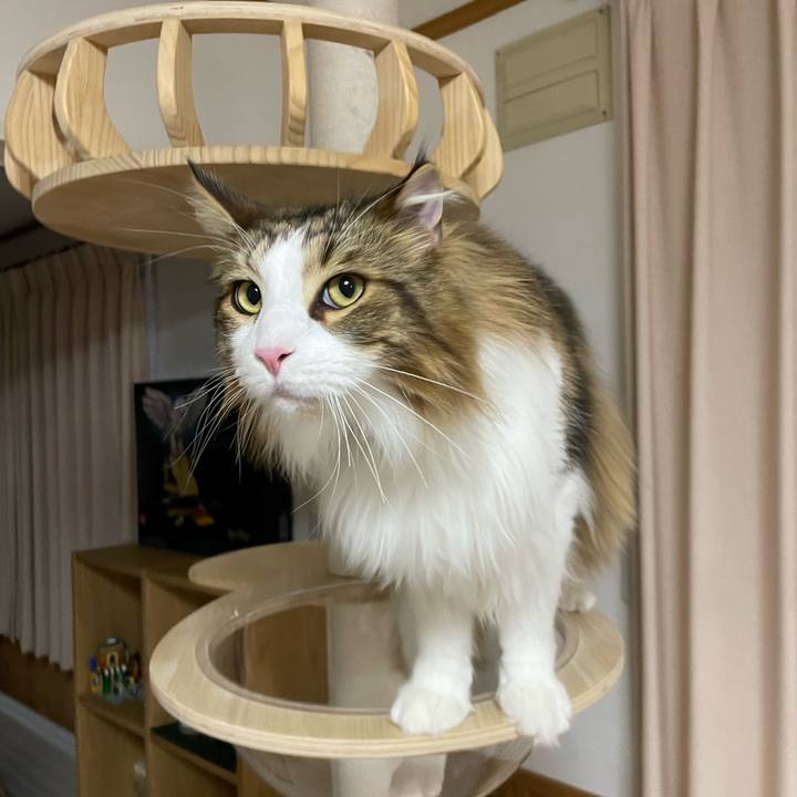 Ea9004a2 360a 4610 b3eb 25a3bc2b1dbd 1682020673874