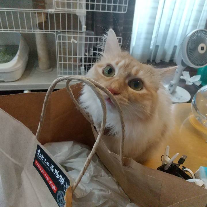 Ea900970 a1e3 4448 abe6 2ccf52b5be14 1649925309924