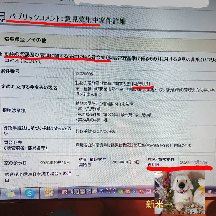 Ea90171c 4ad5 45b8 8f42 a30d9b167786 1603467497995