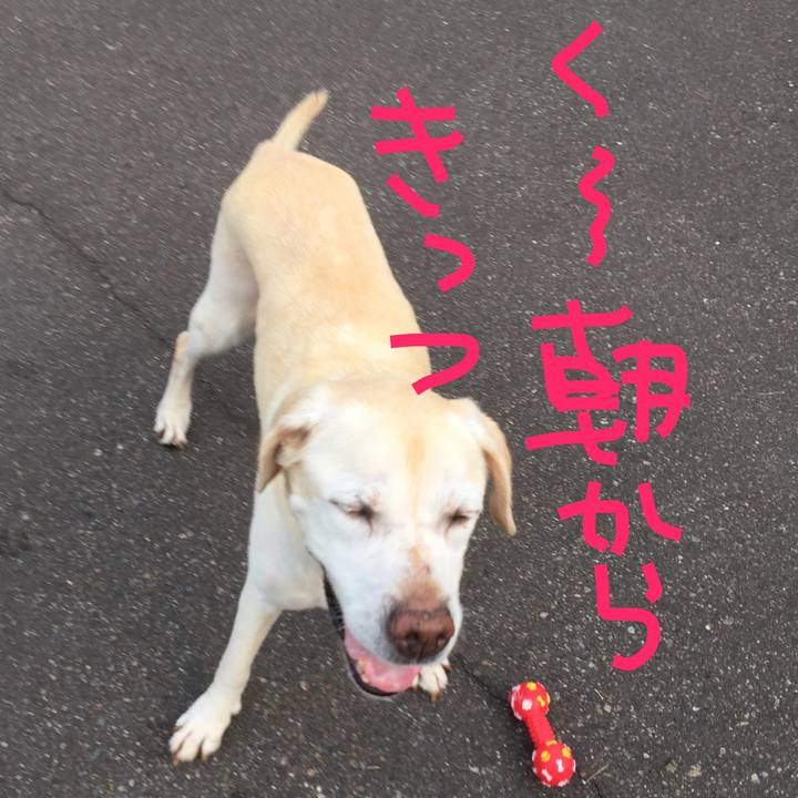 Ea90245b 051f 4eb4 902d 860e42092550 1596755268146