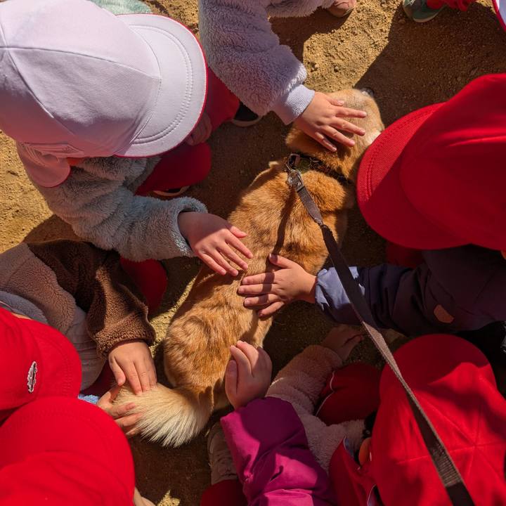 Ea90430a 53da 4af6 a842 1af944ef098a 1765858156498