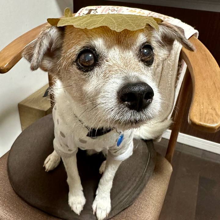 Ea90b08d 8c8a 45c2 9ac9 4ea59f9e1093 1681885561093