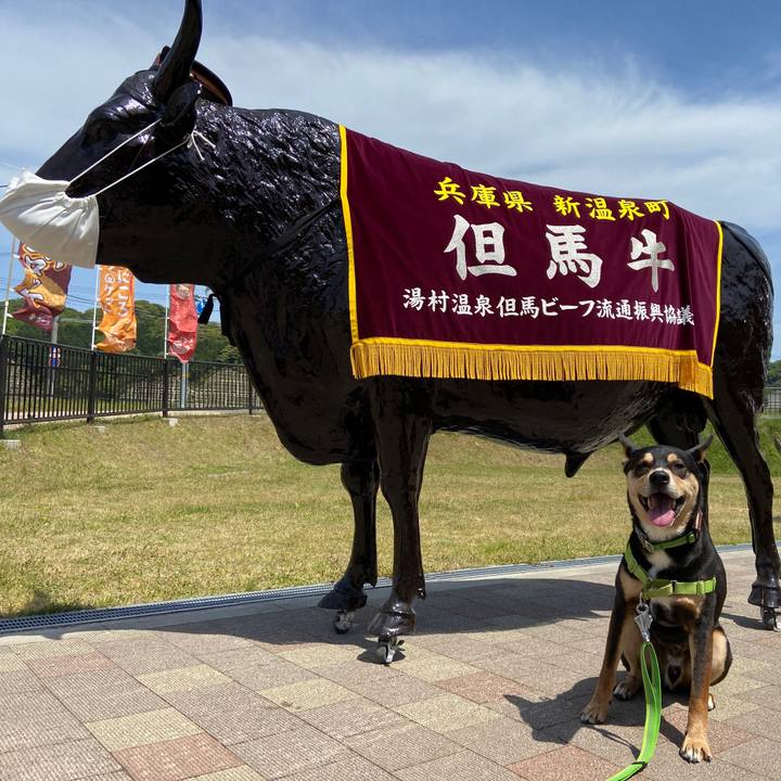 Ea90d201 d766 48f7 817d 8eba7be7b557 1620140125522