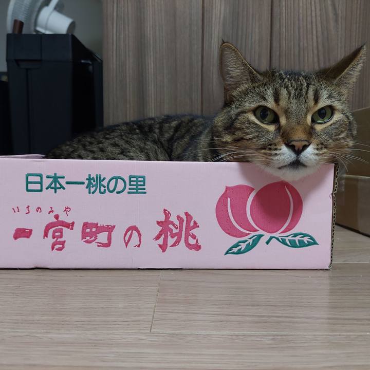 Ea90e88b ef44 4b76 aec3 1ab9c4dfbf0e 1634852324307