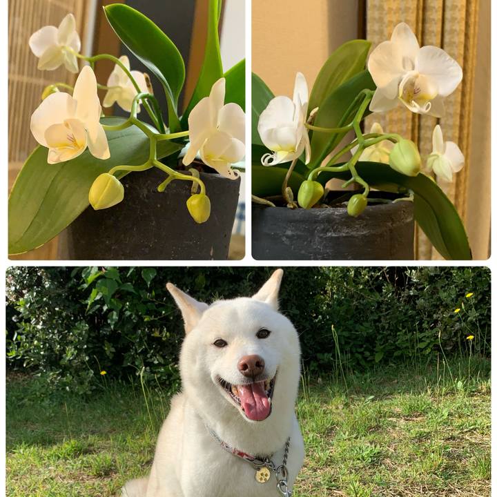 Ea911a43 9dd0 4f2f 8164 b4699f073a08 1710069408586