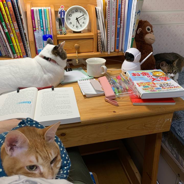 Ea915171 13d0 4ad1 88d5 a8976462b5f8 1637179857307