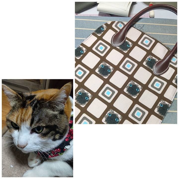 Ea91519a a5e1 45df b661 5657b1d90525 1647433543702