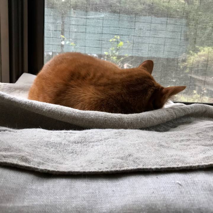 Ea916f96 70b8 40e8 a93e 7ec3e8c37ad9 1511169303632