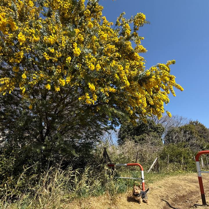 Ea918bb3 35c3 4a39 b60c 111bcbf9c416 1772684620349