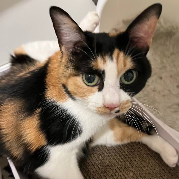 Ea91c123 9f42 443f 881c 214e0670f087 1693793297430