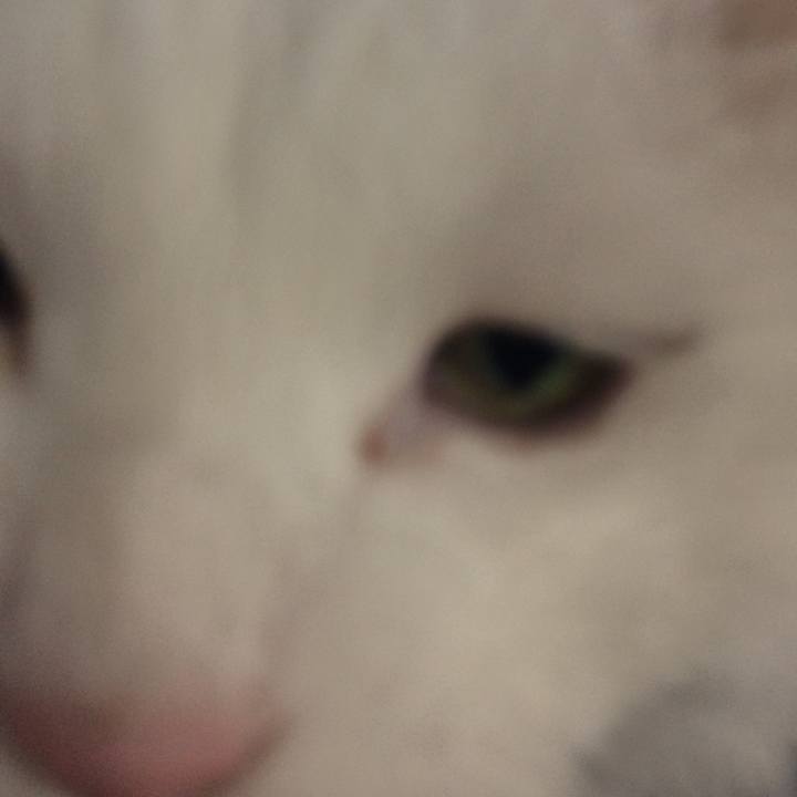 Ea91c926 91ca 4203 9b88 08557003f899 1516919349602