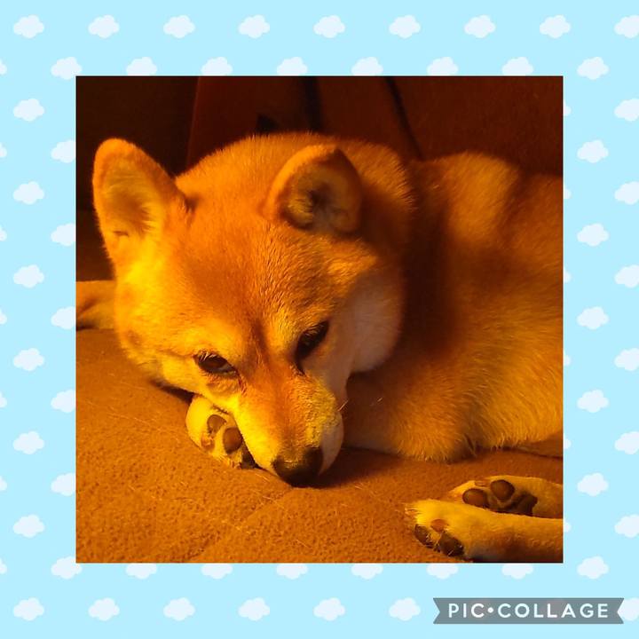 Ea91c9e9 7e72 4726 9a88 4a3a37db80bb 1738583780610