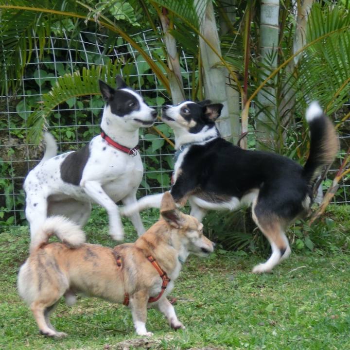 Ea91e6d1 eeb6 4e92 aecd 38d0dcccf283 1645701657167