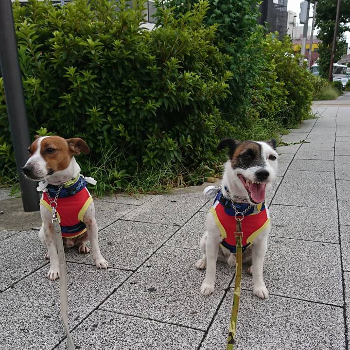 Ea91efc6 7774 4475 9d4c 02f3c5324291 1565819128344