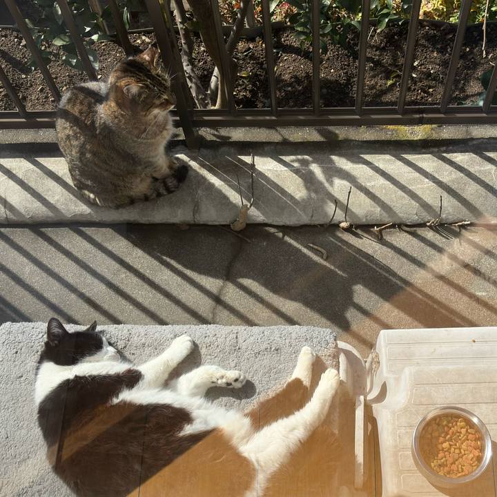 Ea9201b3 12ce 4394 a56c 28d20602e98d 1772586457857