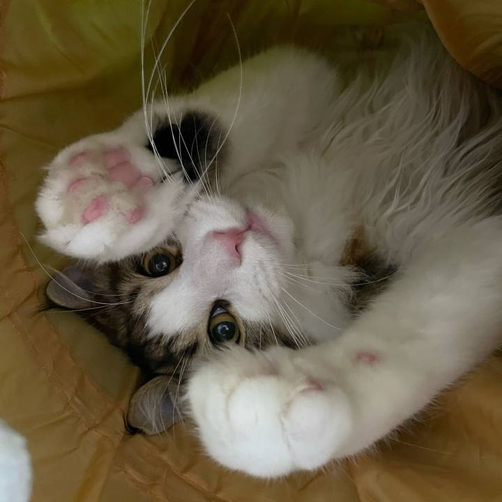 Ea923237 eb68 4118 b754 db9cd4294ea0 1641674791110