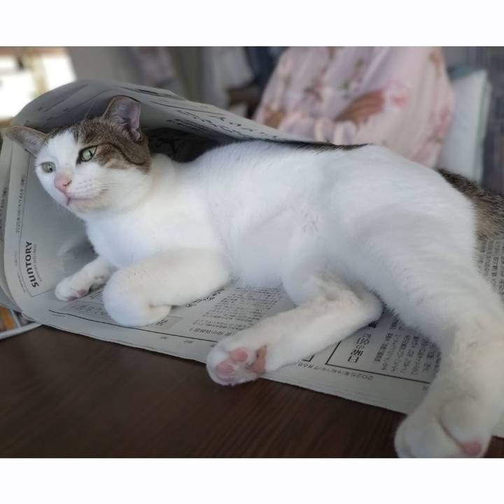 Ea924fe0 2a08 4a64 8efd 4b569fc9f1ef 1751765383917