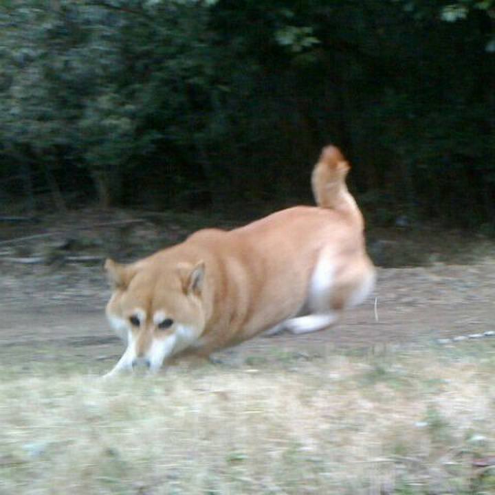 Ea92704e 91d2 46ca 887f 7690b490e84d 1518665682040