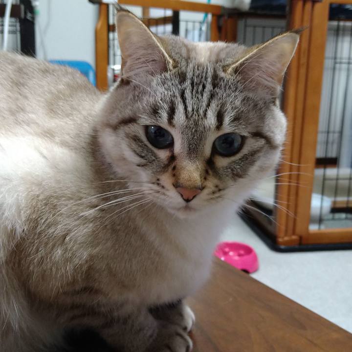 Ea9273d8 4a93 451e 882e 39eb68ee6014 1615544411024