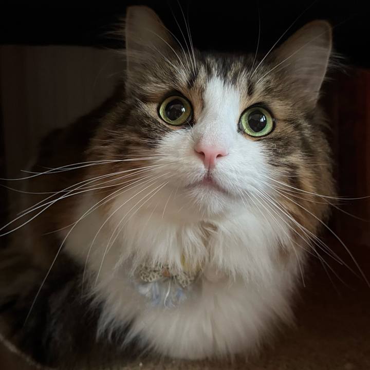 Ea929d8d 40e0 4475 b8c2 bbb970616711 1769227185072