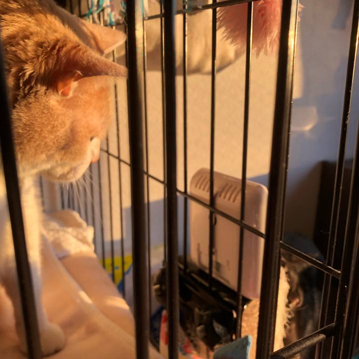 Ea92cb67 0a7d 4079 bbf7 192ee1317c9e 1606861888633