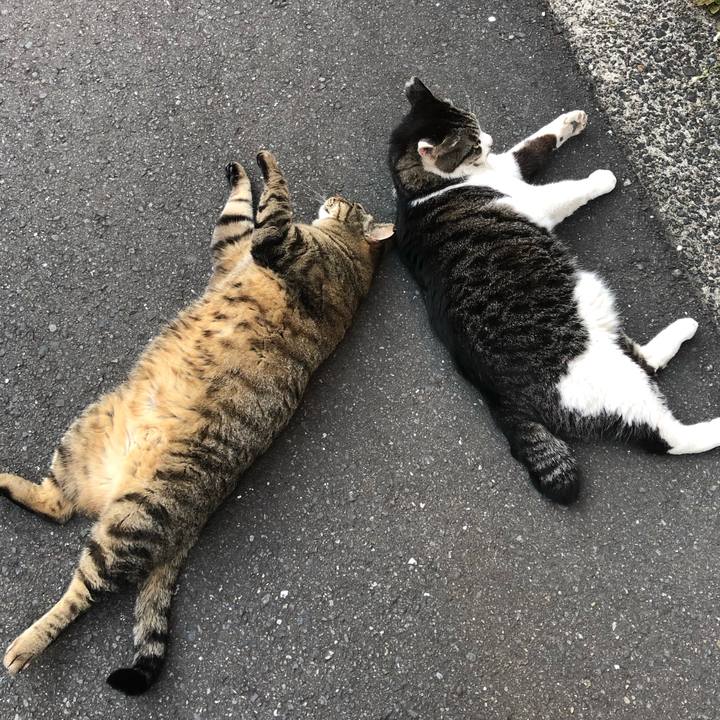 Ea92ede9 8a43 4c30 8be6 2582b3b62ed5 1558097632869