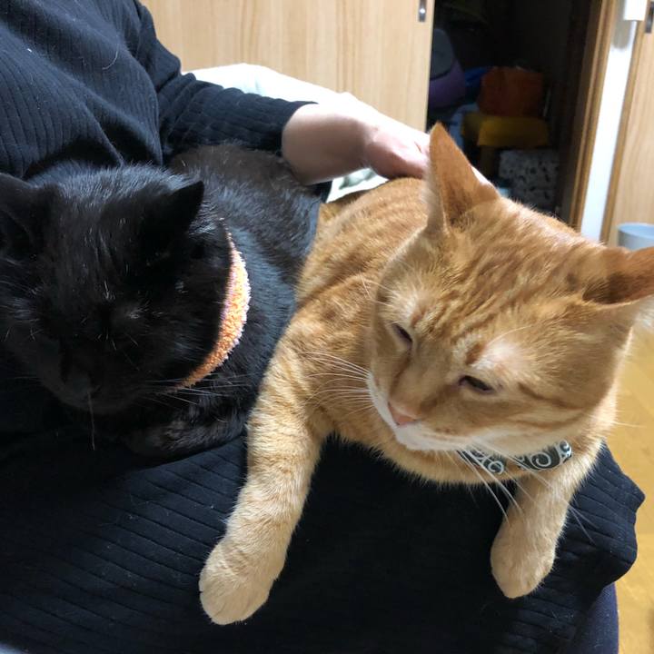 Ea933b4a 47bc 446a 8ba3 dab2bcb1d48f 1588853077098