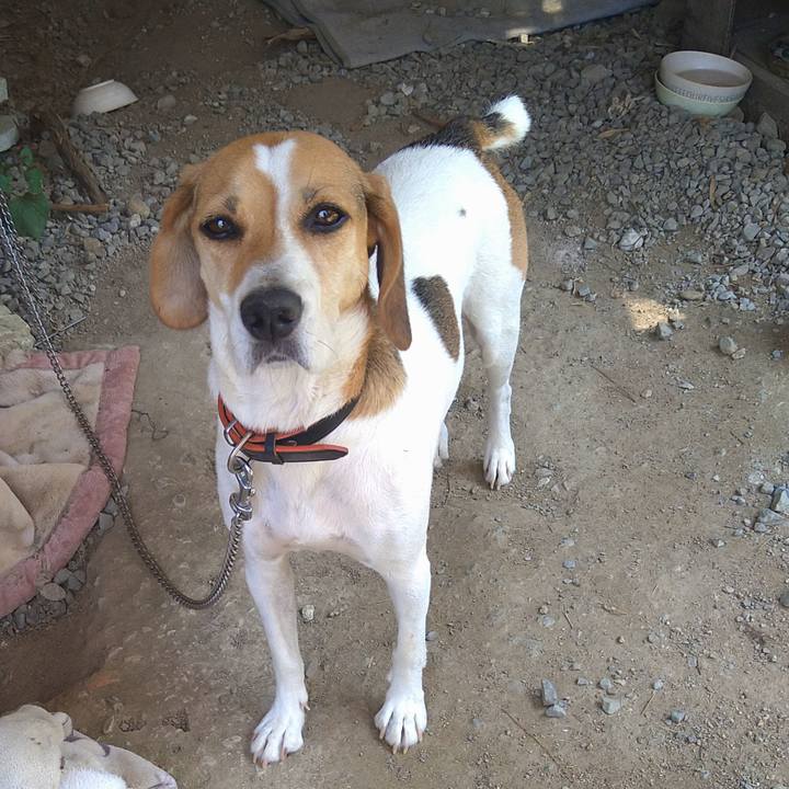 Ea93756b 5c4d 43d1 a999 c9e399be5b93 1630385962068