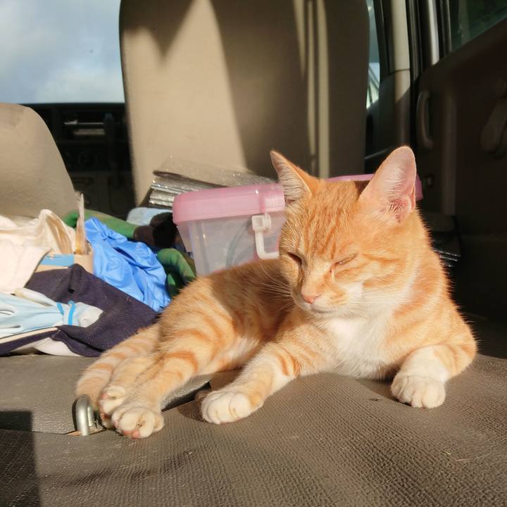 Ea9376ae 8757 4938 9ca3 e66afb2f6d27 1593723188764