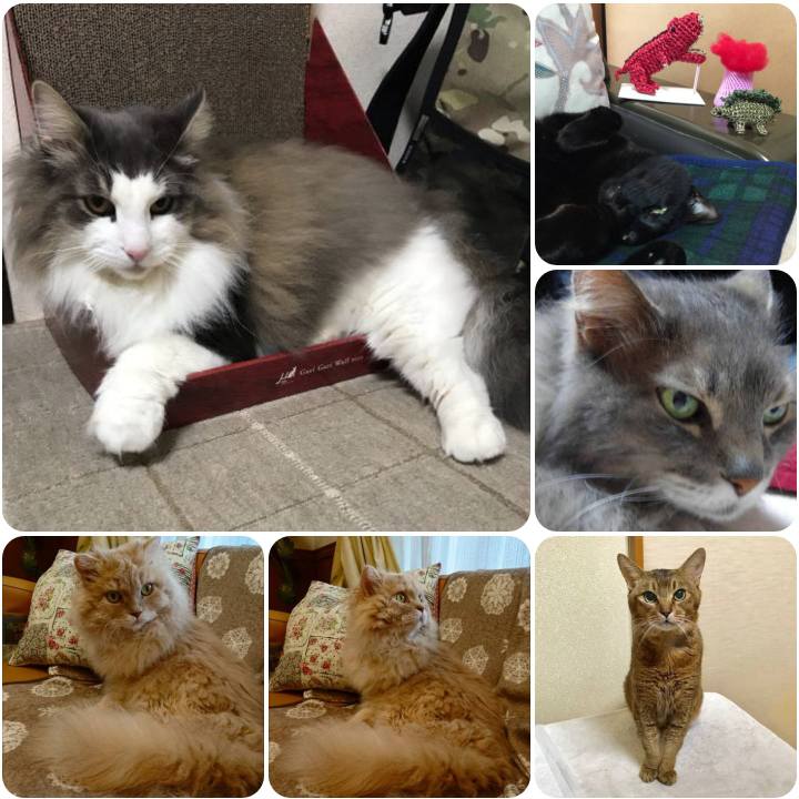 Ea938fcb 3e48 43fa 998d 797bf51805ae 1556273438511